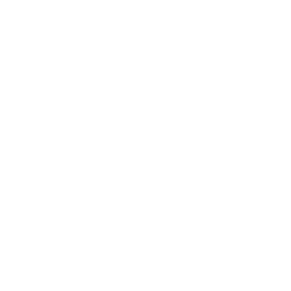 Low-code Digital-transformation experts_1