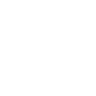 Solution Modelling