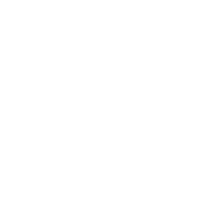 Travel Document Processing_White